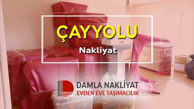 Çayyolu nakliyat