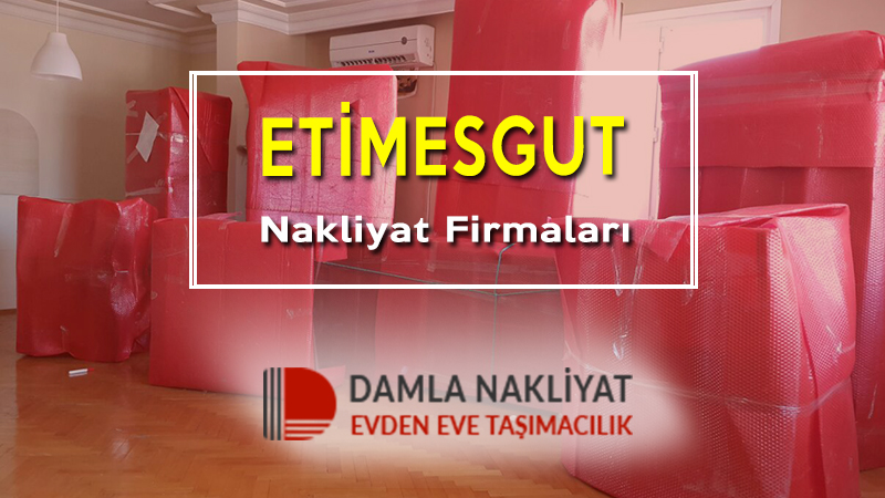 Etimesgut nakliyat firmaları